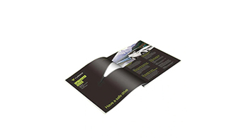 Brochure Printing